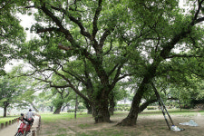 [新택리지]‘생·활·사’ 문화 숨쉬는 吉地 ‘왕자 태실의 고을 성주’