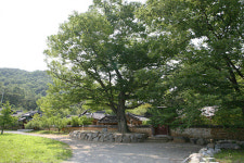 [新택리지]‘생·활·사’ 문화 숨쉬는 吉地 ‘왕자 태실의 고을 성주’