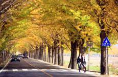 [新택리지]역사와 휴식이 공존하는 도시 ‘웰빙 온천’ 고장, 아산