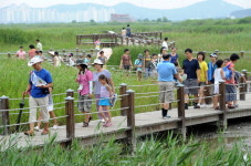 시흥 생태공원에 ‘갯골길 올레’ 등장