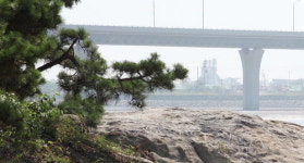 [포토뉴스]해안도로 철책철거 전과 후