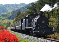 [소읍기행]옛 기차역의 화려한 변신, 곡성 기차마을