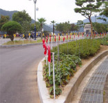 순천 상사댐 주변에 ‘바람개비 동산’ 조성