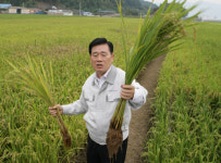 비료·농약 안써도 “대풍이오”