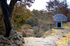 [길,숲,섬]하늘에 이어진 옛 고갯길, 월악산 하늘재