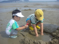 대이작도 ‘풀등’의 눈물