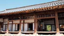 [소읍기행]S라인 강물이 지켜낸 전통문화, 안동 하회마을