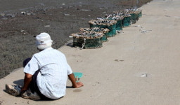 [포구기행](21) 안산 말부흥 선착장