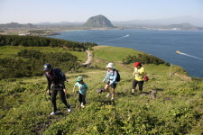 문화·자연 살린 길이 자원이다… 지역경제 활기