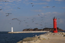 [포구기행](23) 서해의 끝섬 울도 선착장