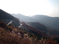 [길,숲,섬]지리산 서북능선에 서다, 정령치 가는 길