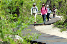 [新택리지]‘대전역 0시축제’를 아시나요 ‘대전의 관문, 동구’