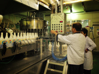 [소읍기행]물을 안은 곳, ‘막걸리 본고장’ 포천시 이동면 도평2리