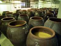 [소읍기행]물을 안은 곳, ‘막걸리 본고장’ 포천시 이동면 도평2리