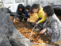 “지렁이가 녹색 도시 일꾼” 전주시 음식물쓰레기 줄이기 이색사업