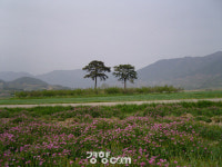 [문화생태탐방로]섬진강을 따라가는 박경리 토지길