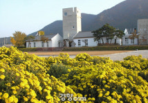 [문화생태탐방로]고창 고인돌 질마재 따라 100리 길