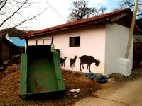 [소읍기행]담장에 그린 넉넉한 농촌인심, 천안시 북면 양곡리