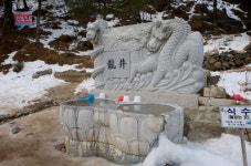 [길.숲,섬]새해 소망품고 민족영산 오르다, 태백산 눈꽃 길