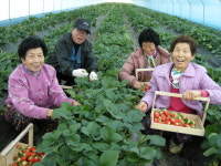“행복한 농민·건강한 식탁, 로컬푸드랑게요”