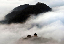 [길,숲,섬]물안개 피는 호숫가 드라이브, 임실 옥정호