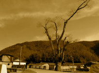 [소읍기행]400년 삼베 짜는 아낙네 손길, 진주 죽곡삼베마을