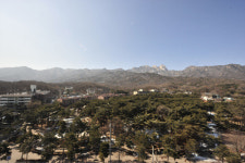 [길,숲,섬]주택가 한복판에 소나무 숲, 우이동 솔밭근린공원