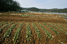 [소읍기행]서울의 집성촌을 찾아서, 구로구 수궁동