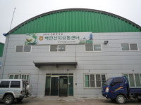 [소읍기행]동양 최대 연꽃자생지, 무안군 백련지마을