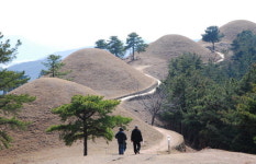 대가야의 흔적 간직한  ‘경북 고령’