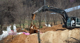 “자식 같은 소 묻으라니…” 애끊는 농심