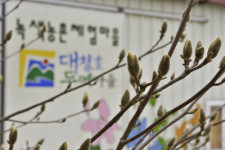 [소읍기행]산과 호수가 빚은 한폭의 풍경화, 대전 ‘대청호 두메마을’