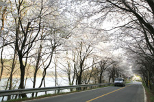 [소읍기행]산과 호수가 빚은 한폭의 풍경화, 대전 ‘대청호 두메마을’