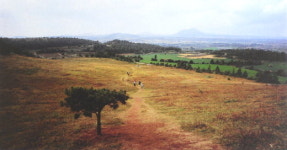 ‘취만부동’ 현역 사진기자 4인 작품 전시