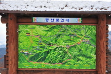 [길,숲,섬]굽이굽이 옛정, 대관령 옛길