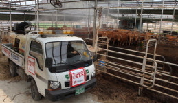 “명품 한우·돼지 지켜라” 횡성·홍성 방역 총력