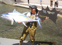 환경단체 “청계천에 참치 서식!” 서울시 거짓홍보 풍자