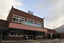 [길,숲,섬]해질녘 황금빛 억새물결 장관, 정선 민둥산