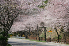 [新택리지]바다와 산림휴양이 어우러진 도시, 조선업의 메카 ‘울산 동구’
