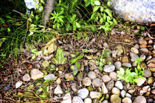 [소읍기행]매화향기 그윽한 산골서 전통체험, 양주 맹골마을