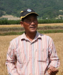 우리밀, 우리 들녘서 정겨운 부활