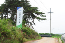 [소읍기행]갯벌체험의 백미, 화성 백미리마을