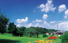 [新택리지]전통과 첨단이 조화로운 달구벌의 중심, 풍요로운 행복도시 ‘대구 중구’