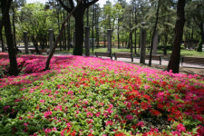 [新택리지]전통과 첨단이 조화로운 달구벌의 중심, 풍요로운 행복도시 ‘대구 중구’