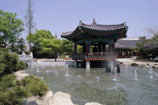 [新택리지]전통과 첨단이 조화로운 달구벌의 중심, 풍요로운 행복도시 ‘대구 중구’