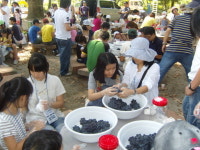 포도 향·와인 맛·관광 멋에 흠뻑 젖어요