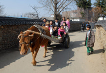 [新택리지]전통과 추억, 사색이 충만한 고을. 천천히 느리게 사는 ‘슬로시티 담양’