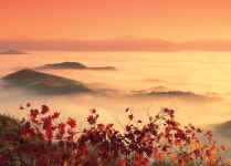 올 가을 단풍 어디서 볼까