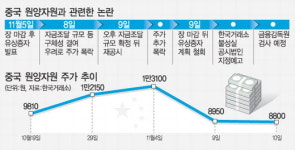 “차이나 리스크 오나” 국내 투자자 혼선
