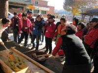 “농어촌에 가을체험 갑니다”